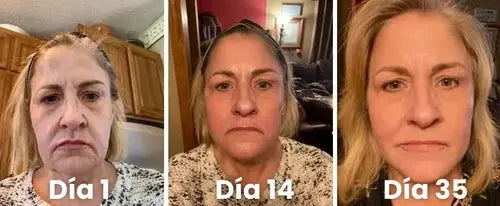 Encabezado